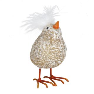 Vogel schaut nach oben