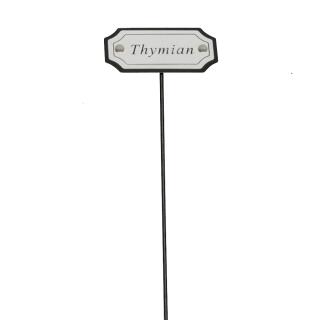 Thymian