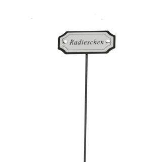 Radieschen