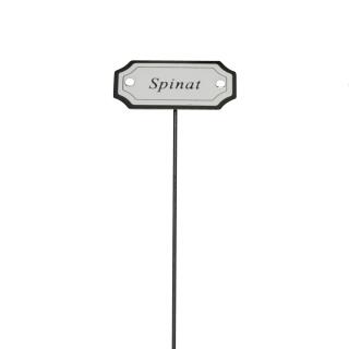 Spinat