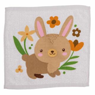 Hase
